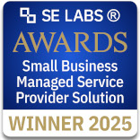 Small Business Managed Service Provider Solution